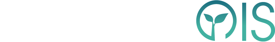Drongis